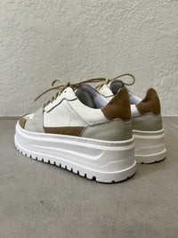 Sneakers Bear in Camoscio e Pelle